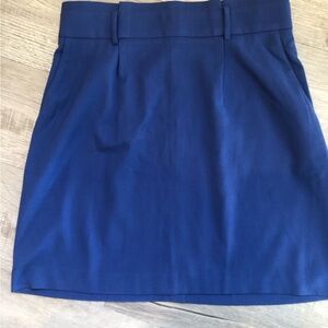 Ann Taylor Elegant Blue Women's Skirt Size 6